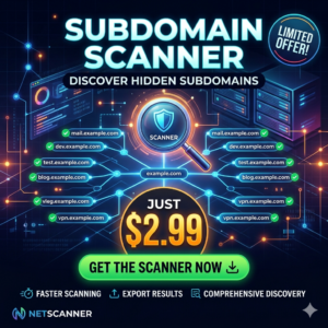 Subdomain Scanner